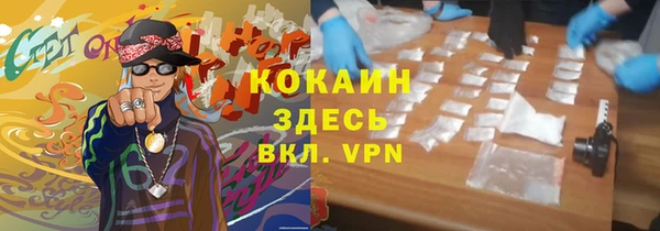 шишки Дмитровск