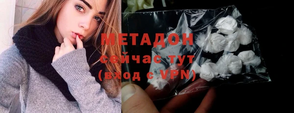 шишки Дмитровск