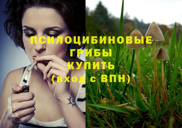 герыч Дмитров
