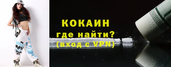 шишки Дмитровск