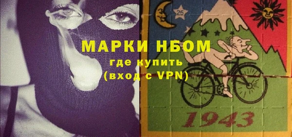 шишки Дмитровск