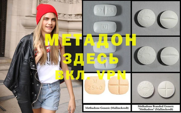 шишки Дмитровск