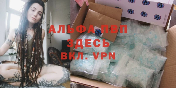 шишки Дмитровск