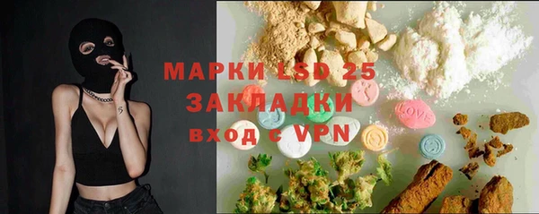 шишки Дмитровск