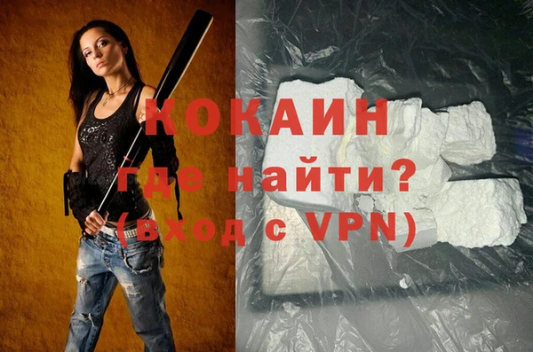 шишки Дмитровск