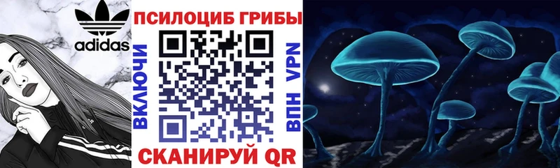 Псилоцибиновые грибы ЛСД  Купить где  Инта 